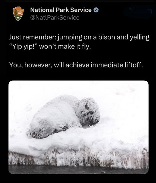 Click image for larger version

Name:	bison liftoff.jpg
Views:	1
Size:	46.9 KB
ID:	68073