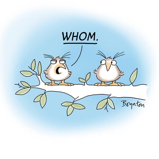 Click image for larger version

Name:	whom.jpg
Views:	1
Size:	36.2 KB
ID:	68768