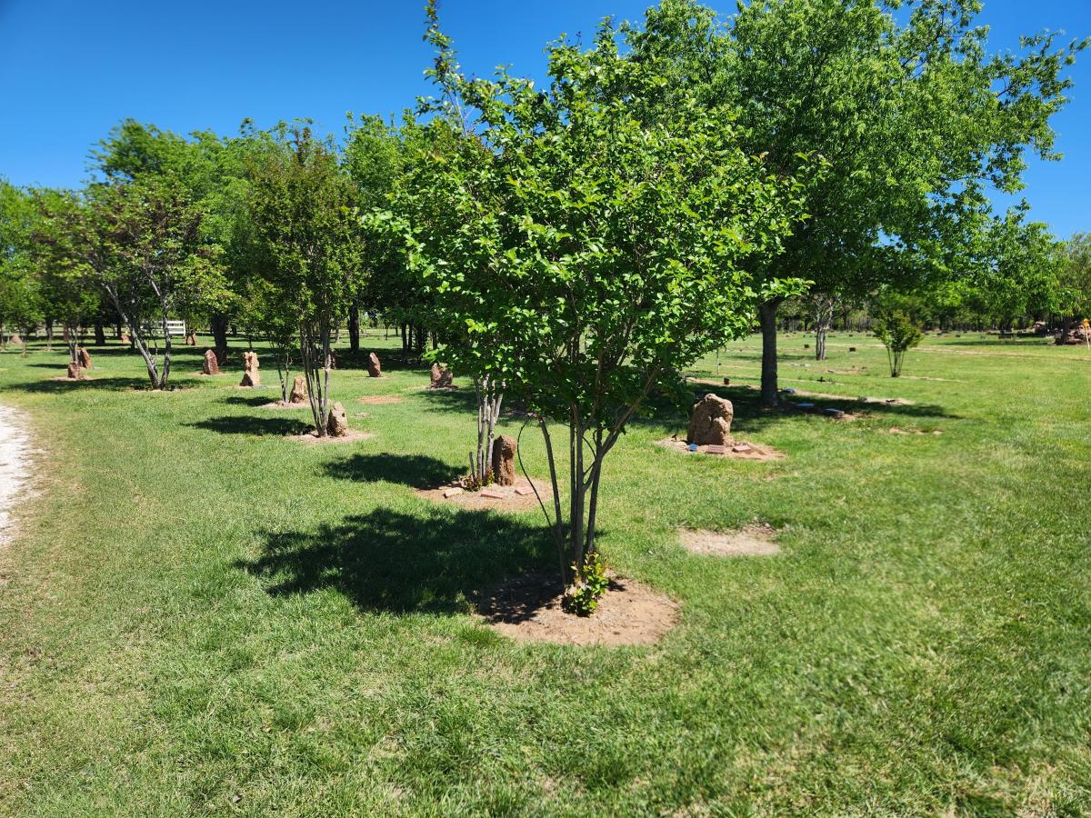 Click image for larger version

Name:	20260406_125138.jpg
Views:	1
Size:	333.9 KB
ID:	68989