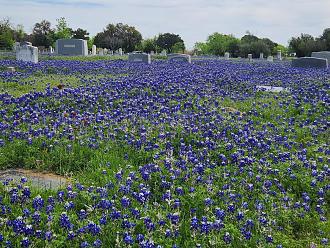 Click image for larger version  Name:	20260407_110601.jpg Views:	2 Size:	361.0 KB ID:	68993