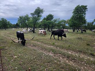 Click image for larger version  Name:	20260407_151542.jpg Views:	1 Size:	268.9 KB ID:	68995