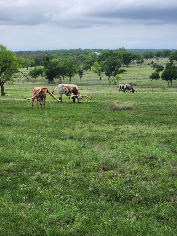 Click image for larger version

Name:	20260414_130936.jpg
Views:	1
Size:	140.8 KB
ID:	69109