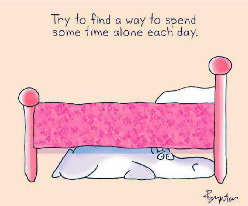 Click image for larger version

Name:	Screenshot 2026-04-18 11.54.26 AM.png
Views:	1
Size:	462.4 KB
ID:	69123