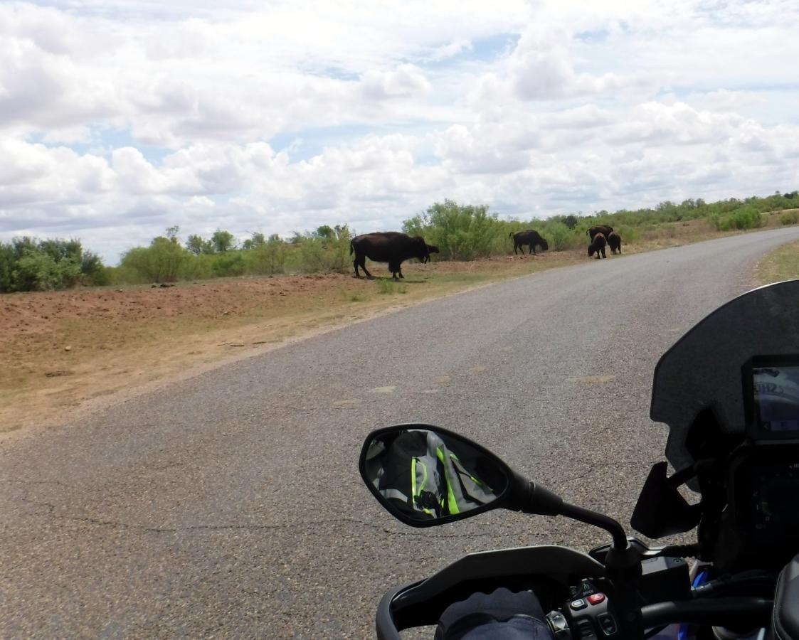 Click image for larger version

Name:	21-DSCF8006.JPG
Views:	1
Size:	120.6 KB
ID:	69194