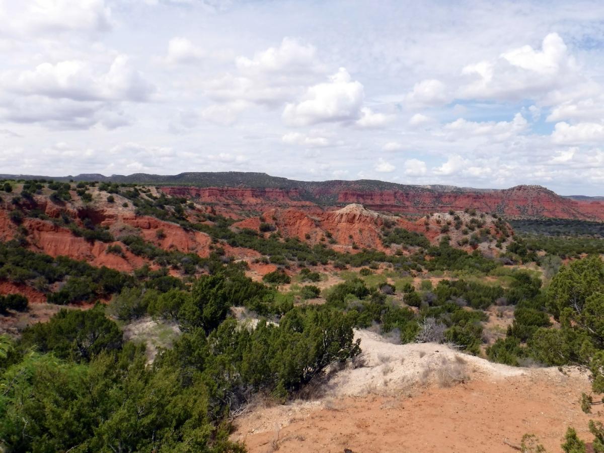 Click image for larger version

Name:	22-DSCF8007.JPG
Views:	1
Size:	152.5 KB
ID:	69193