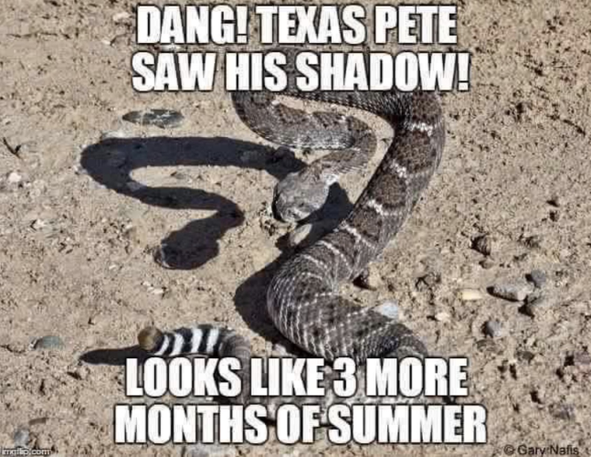 Click image for larger version

Name:	texas Pete.jpg
Views:	1
Size:	542.7 KB
ID:	69264