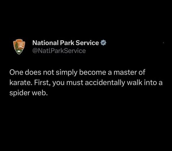 Click image for larger version

Name:	spider web.jpg
Views:	1
Size:	25.2 KB
ID:	69276
