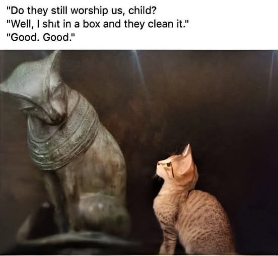Click image for larger version

Name:	good good.jpg
Views:	1
Size:	37.7 KB
ID:	69528