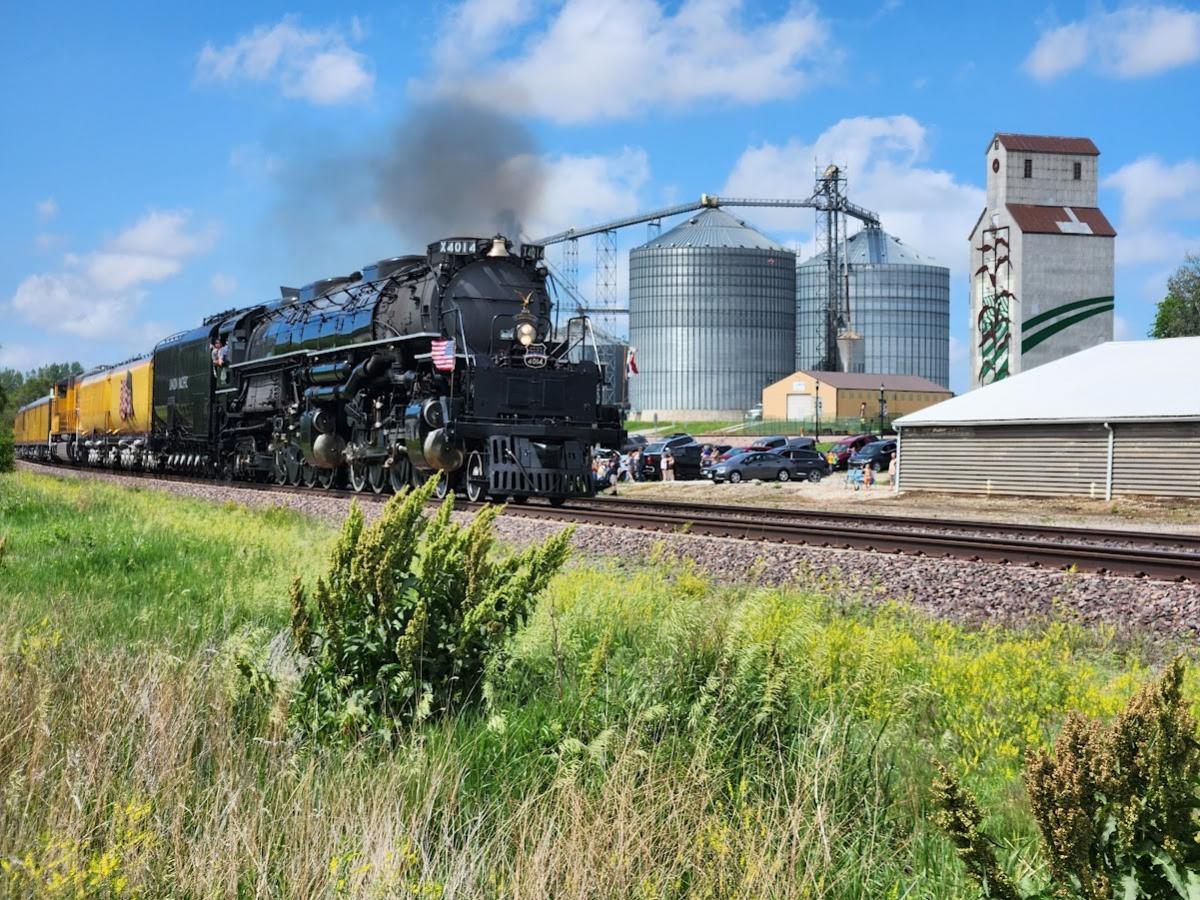 Click image for larger version

Name:	Woodbine 3.jpg
Views:	1
Size:	226.4 KB
ID:	69554