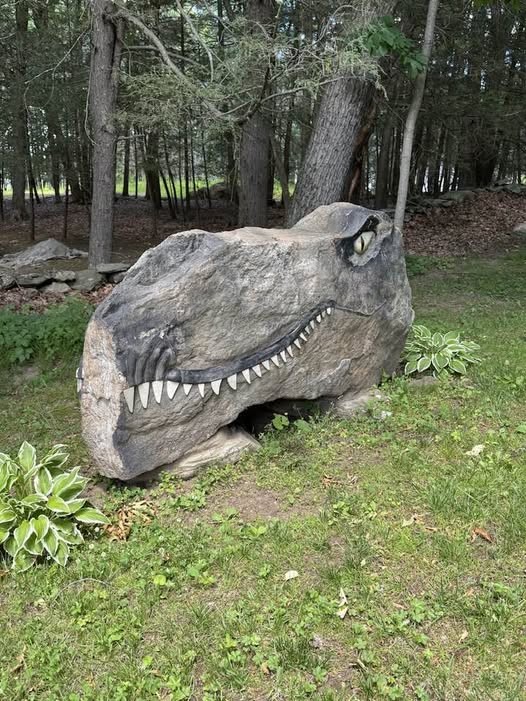 Click image for larger version

Name:	dino rock.jpg
Views:	1
Size:	164.8 KB
ID:	69708