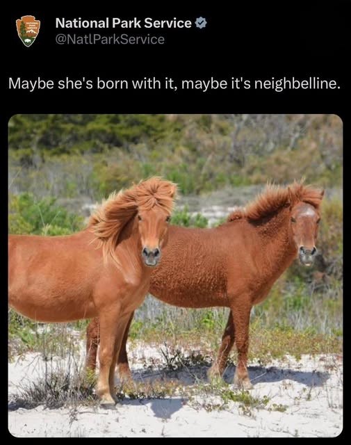 Click image for larger version

Name:	neighbelline.jpg
Views:	1
Size:	73.5 KB
ID:	69816