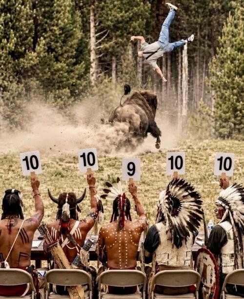 Click image for larger version

Name:	bison lift.jpg
Views:	1
Size:	113.0 KB
ID:	69851