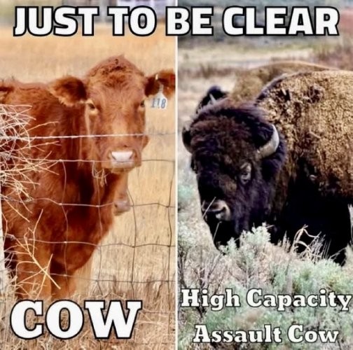 Click image for larger version

Name:	cow differences.jpg
Views:	1
Size:	85.1 KB
ID:	69853