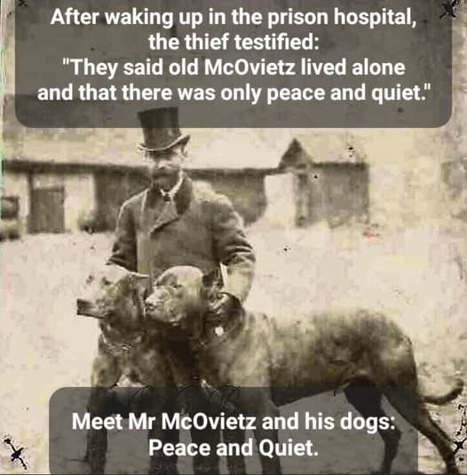 Click image for larger version

Name:	peace and quiet.jpg
Views:	1
Size:	62.1 KB
ID:	69891