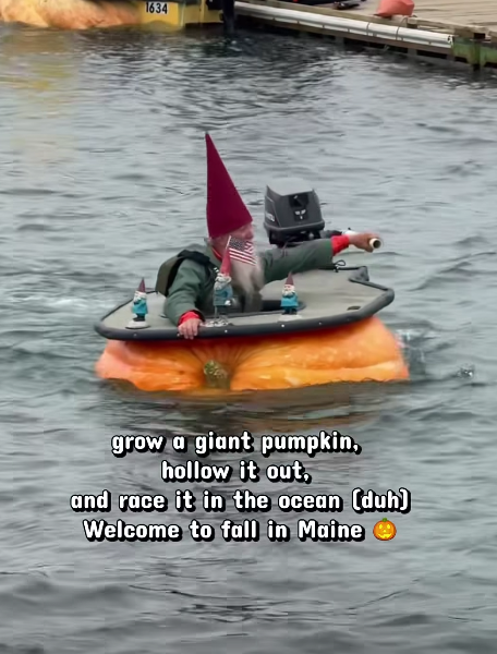 Click image for larger version

Name:	Screenshot 2026-10-24 3.26.10 PM.png
Views:	1
Size:	387.9 KB
ID:	70790