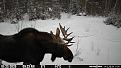 Click image for larger version

Name:	IMG_1539.jpeg
Views:	2
Size:	63.4 KB
ID:	62186